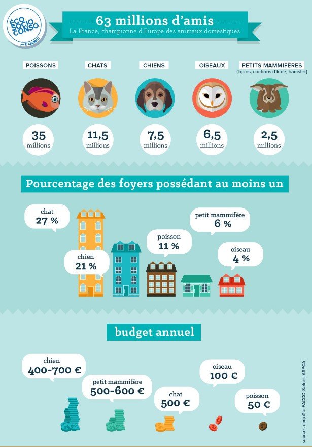 Infographie Animaux Domestiques