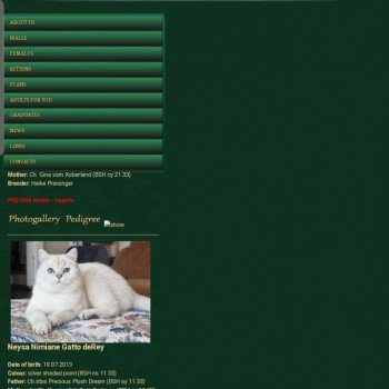 chat British Shorthair OF Paris Royal Cattery chat British Shorthair OF Paris Royal Cattery