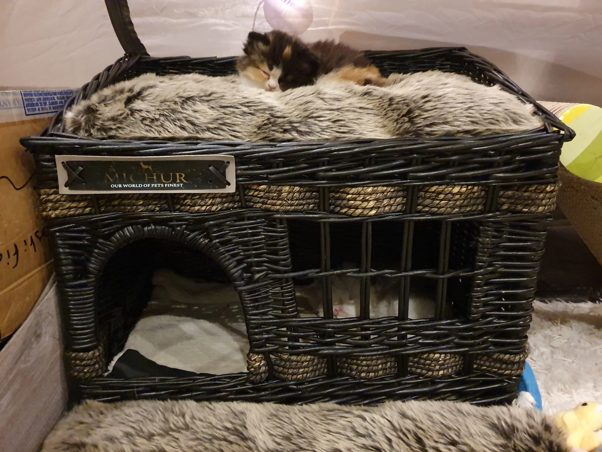 Michur store cat bed
