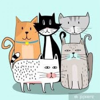 D'où viennent les plus beaux chats ?