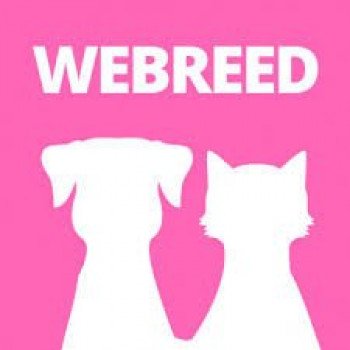 Logiciel d'Elevage utilisé : WEBREED